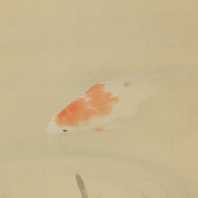 Afbeelding in Gallery-weergave laden, Fujishima Seison(1863-1935), Swimming Carp, Japanese hanging scroll