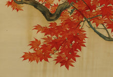 Load image into Gallery viewer, Osaki Seizan (?-?) "Japanese maple" 1920s, Japanese hanging scroll, kakejiku