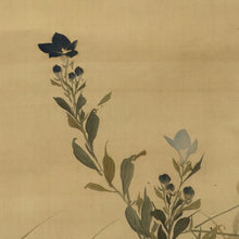 Load image into Gallery viewer, Nakajima Raisho (1796-1871) Bamboo and a Bush Warbler, Chinese Bellflower and Two Quails, Late Edo period-Meiji era, Japanese hanging scroll, kakejiku