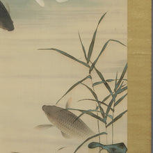 Afbeelding in Gallery-weergave laden, Fujishima Seison(1863-1935), Swimming Carp, Japanese hanging scroll