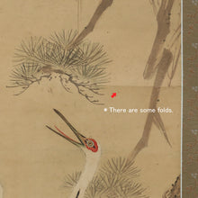 Charger l'image dans la galerie, Yoshinobu (?-?),義宣, A Pair of Cranes with Pine, Japanese hanging scroll, Late Edo period