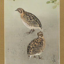 Lade das Bild in den Galerie-Viewer, Imai Keiju (1891-1967), Wild Quail Pecking at Grass, Japanese hanging scroll, Shōwa period (1926-1989)