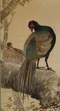 Load image into Gallery viewer, Imai Keiju (1891-1967) "Cherry blossoms and pheasants", Japanese hanging scroll, kakejiku