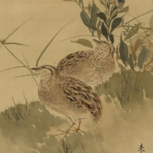 Load image into Gallery viewer, Nakajima Raisho (1796-1871) Bamboo and a Bush Warbler, Chinese Bellflower and Two Quails, Late Edo period-Meiji era, Japanese hanging scroll, kakejiku