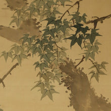 Load image into Gallery viewer, Imao Keinen(1845-1924), Swimming Carp under Green Maple, Japanese hanging scroll