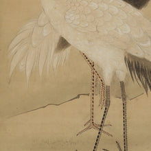 Charger l'image dans la galerie, Yoshinobu (?-?),義宣, A Pair of Cranes with Pine, Japanese hanging scroll, Late Edo period