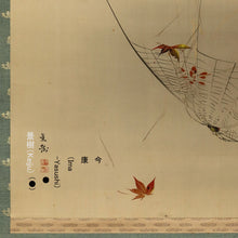 Charger l'image dans la galerie, Imai Keiju (1891-1967), Fallen Leaves and Spider, Japanese hanging scroll