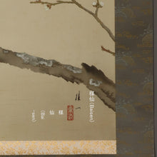 Load image into Gallery viewer, Hirai Baisen(1889-1969), A White Plum Tree with a Japanese Bush Warbler, Japanese hanging scroll