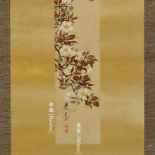 Load image into Gallery viewer, Nakajima Raisho (1796-1871), Cherry Blossoms and Small Bird, Japanese hanging scroll, Late Edo period