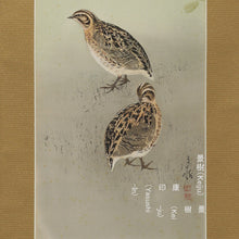 Lade das Bild in den Galerie-Viewer, Imai Keiju (1891-1967), Wild Quail Pecking at Grass, Japanese hanging scroll, Shōwa period (1926-1989)