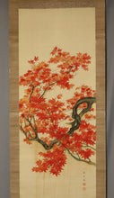 Load image into Gallery viewer, Osaki Seizan (?-?) "Japanese maple" 1920s, Japanese hanging scroll, kakejiku