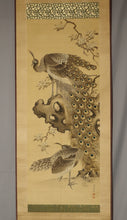 Load image into Gallery viewer, Nakamura Seikei(1792-1845) "Peafowl"  Late Edo period, Japanese hanging scroll, kakejiku