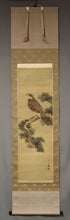 Load image into Gallery viewer, Seppou(?-?) "pine and hawk" Late Edo period-Meiji era, Japanese hanging scroll, kakejiku
