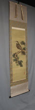 Load image into Gallery viewer, Seppou(?-?) "pine and hawk" Late Edo period-Meiji era, Japanese hanging scroll, kakejiku