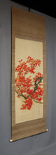 Load image into Gallery viewer, Osaki Seizan (?-?) "Japanese maple" 1920s, Japanese hanging scroll, kakejiku