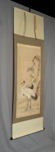 Charger l'image dans la galerie, Yoshinobu (?-?),義宣, A Pair of Cranes with Pine, Japanese hanging scroll, Late Edo period