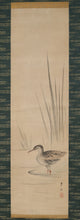 Load image into Gallery viewer, Yoshimura Koukei (1769-1836), Pair Hanging Scroll Carp and Small Bird, Japanese hanging scroll