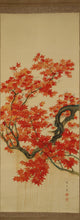 Load image into Gallery viewer, Osaki Seizan (?-?) "Japanese maple" 1920s, Japanese hanging scroll, kakejiku