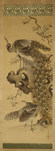 Load image into Gallery viewer, Nakamura Seikei(1792-1845) "Peafowl"  Late Edo period, Japanese hanging scroll, kakejiku