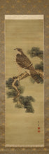 Load image into Gallery viewer, Seppou(?-?) "pine and hawk" Late Edo period-Meiji era, Japanese hanging scroll, kakejiku