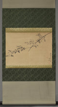 将图片加载到图库查看器,Matsumura Keibun (1779-1843), Cherry Blossoms, authenticated by Yokoyama Seiki, Japanese hanging scroll, Late Edo period