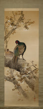 Load image into Gallery viewer, Imai Keiju (1891-1967) "Cherry blossoms and pheasants", Japanese hanging scroll, kakejiku