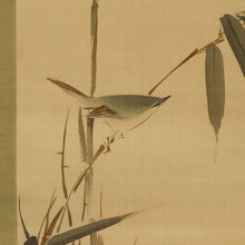 Load image into Gallery viewer, Nakajima Raisho (1796-1871) Bamboo and a Bush Warbler, Chinese Bellflower and Two Quails, Late Edo period-Meiji era, Japanese hanging scroll, kakejiku