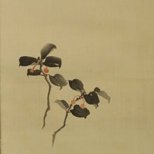 Load image into Gallery viewer, Sato Keishu (?-?), Manryō (Ardisia crenata), Japanese hanging scroll