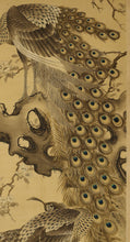 Load image into Gallery viewer, Nakamura Seikei(1792-1845) "Peafowl"  Late Edo period, Japanese hanging scroll, kakejiku