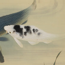Afbeelding in Gallery-weergave laden, Fujishima Seison(1863-1935), Swimming Carp, Japanese hanging scroll