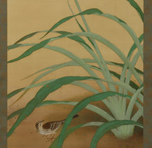 Load image into Gallery viewer, Uemura Shoko (1902-2001) ,Canna Lily and Little Bird, Japanese hanging scroll, kakejiku