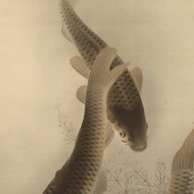 Load image into Gallery viewer, Minakami Taisei(1877-1951) , Group of Carps, Japanese hanging scroll