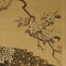 Load image into Gallery viewer, Nakamura Seikei(1792-1845) "Peafowl"  Late Edo period, Japanese hanging scroll, kakejiku