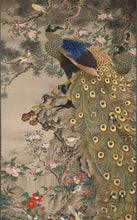 Load image into Gallery viewer, Tani Bunchu (1823-1876) "Flowering Plants, Peacocks and Small Birds under a Pine Tree" Large hanging scroll, Late Edo period-Meiji era, Japanese hanging scroll, kakejiku