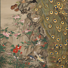 Load image into Gallery viewer, Tani Bunchu (1823-1876) "Flowering Plants, Peacocks and Small Birds under a Pine Tree" Large hanging scroll, Late Edo period-Meiji era, Japanese hanging scroll, kakejiku