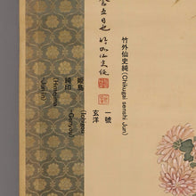 将图片加载到图库查看器,Himejima Chikugai(1840-1928)“ Shikunshi(兰花,竹,菊花和李子)和一只小鸟。” Meiji-Taisho时代