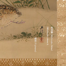 将图片加载到图库查看器,Kano Michinobu(Eisen-In)(1730-1790)“秋天草和鹌鹑”中江户时代