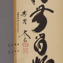 Load image into Gallery viewer, Kobayashi Taigen(1938-?) "Seiryu Kandan naku"清流無間断, Showa era, Japanese hanging scroll, kakejiku
