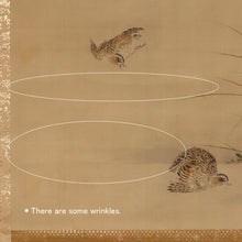 将图片加载到图库查看器,Kano Michinobu(Eisen-In)(1730-1790)“秋天草和鹌鹑”中江户时代