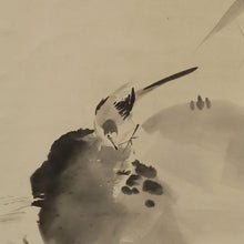 将图片加载到图库查看器，Sugimoto Seika (1876-?), Wagtail in Reeds, Japanese hanging scroll
