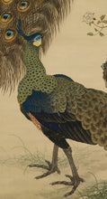 Lade das Bild in den Galerie-Viewer, Mizutani Honen(1879-1928)  &quot;Peacocks and Roses&quot; Taisho-Showa era
