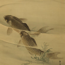 Charger l&#39;image dans la galerie, Imao Keinen(1845-1924), Swimming Carp under Green Maple, Japanese hanging scroll
