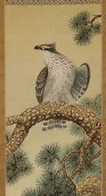 将图片加载到图库查看器，Shiroyanagi Eiho (1890-?), Pine Tree and Hawk, Japanese hanging scroll, kakejiku
