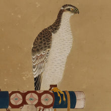 Carica l&#39;immagine nel visualizzatore di Gallery, Dougan洞岸 (?-?) &quot;Hawk&quot; Middle to late Edo period, Japanese hanging scroll, kakejiku
