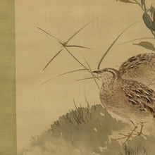 将图片加载到图库查看器，Nakajima Raisho (1796-1871) Bamboo and a Bush Warbler, Chinese Bellflower and Two Quails, Late Edo period-Meiji era, Japanese hanging scroll, kakejiku
