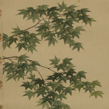 Charger l&#39;image dans la galerie, Takebe Hakuho  (1871-1927), Blue maple and lesser cuckoo, Tomo-bako, Japanese hanging scroll, kakejiku
