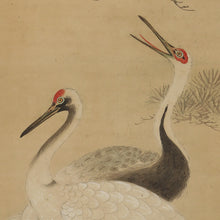 Charger l'image dans la galerie, Yoshinobu (?-?),義宣, A Pair of Cranes with Pine, Japanese hanging scroll, Late Edo period
