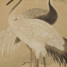 Charger l'image dans la galerie, Yoshinobu (?-?),義宣, A Pair of Cranes with Pine, Japanese hanging scroll, Late Edo period
