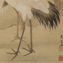 Charger l'image dans la galerie, Yoshinobu (?-?),義宣, A Pair of Cranes with Pine, Japanese hanging scroll, Late Edo period
