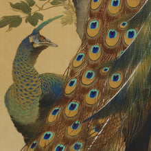 将图片加载到图库查看器，Hirai Chokusui  (1861-?) ,Peonies and Peacock, Japanese hanging scroll, kakejiku
